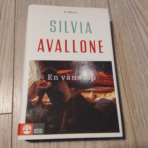 En vänskap av Silvia Avallone, 2020