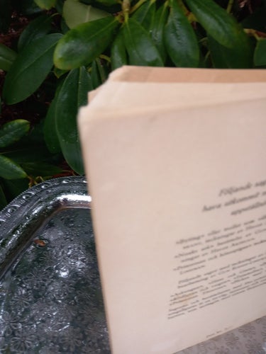 Prinsessan Törnrosa saga Förlag Eric Olsson & Co 1946 vintage klenod