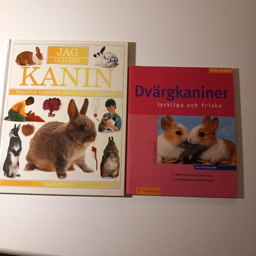 Jag och min kanin av Mark Evans, 1995, Dvärgkaniner.