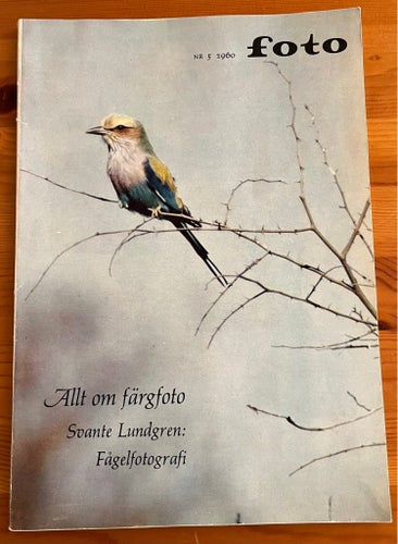 Foto Nr 5 1960, Allt om färgfoto, Svante Lundgren: Fågelfotografi