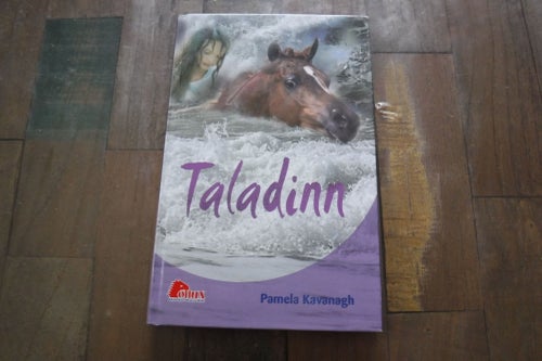 Taladinn författare Pamela Kavanagh