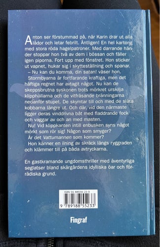 Den galne Vattumannen av Sven Ingvar, 1997