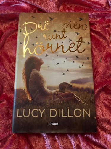 Drömmen runt hörnet av Lucy Dillon