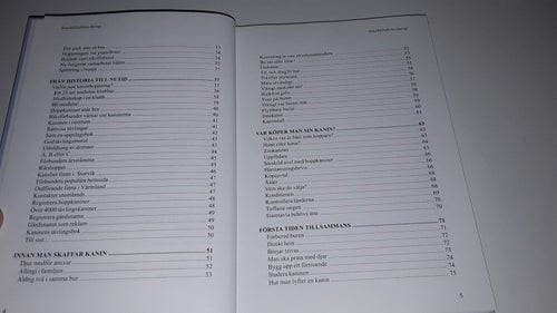 Kaninhoppning 2 - Lisbeth Jansson