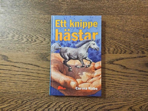 Ett knippe hästar - Carina Rabe - Pollux