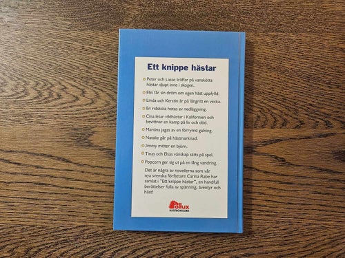 Ett knippe hästar - Carina Rabe - Pollux