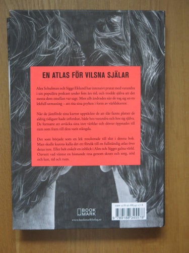 RUM av Alex Schulman & Sigge Eklund, 2017