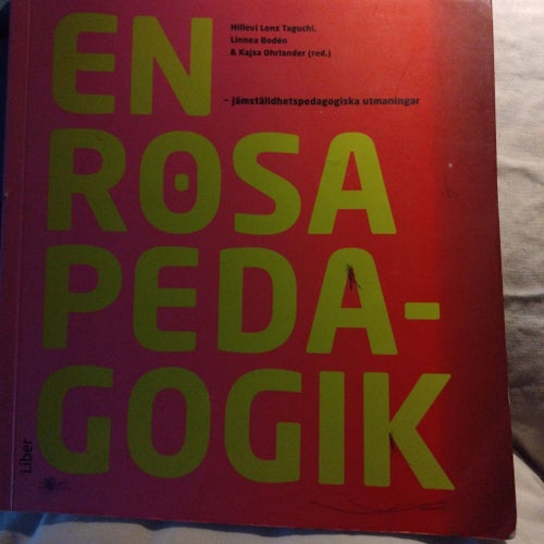 En rosa pedagogik - jämställdhetspedagogiska utmaningar, Hillelevi Lenz