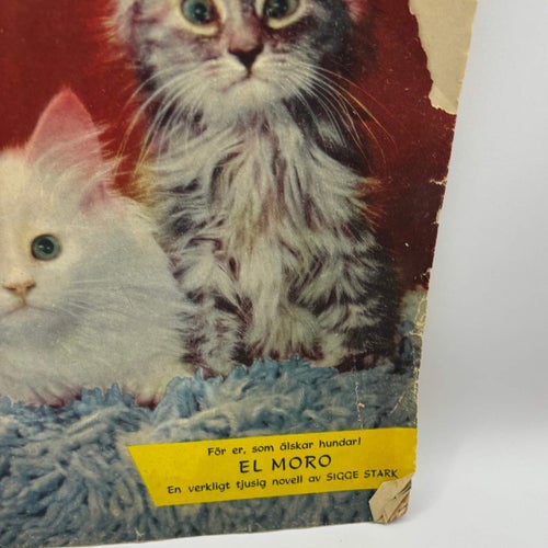 Hela Världen nr 34, 1953 – kattomslag, serier & retroannonser