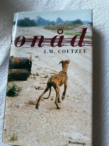 Onåd av J.M. Coetzee, 2000