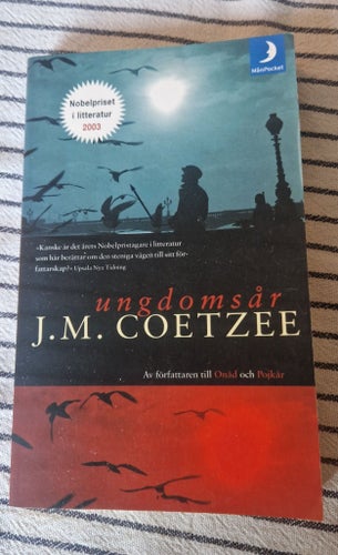 Ungdomsår av J.M. Coetzee, 2003