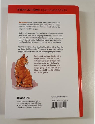 Klass 7B En känsla av november - Pernilla Gesén