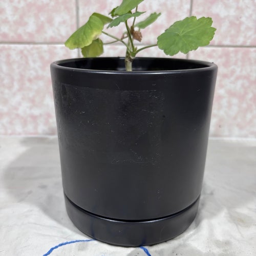 Stilren svart IKEA GRADVIS kruka – Matt finish – 15 cm