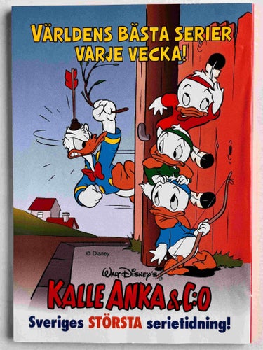 Björnligan - 1995:4 FN
