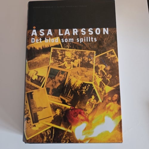 Det blod som spillts av Åsa Larsson, 2004