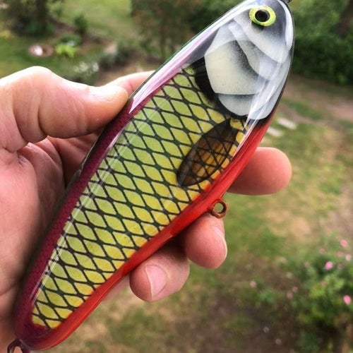 Fiskedrag
