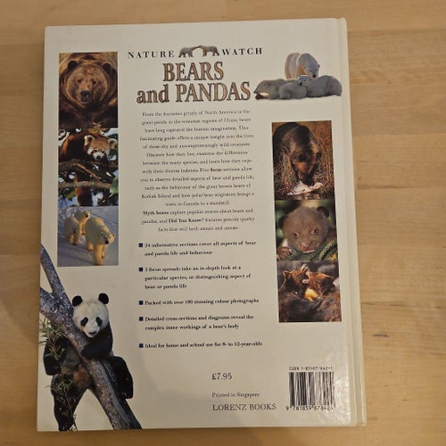 Bears and Pandas - Michael Bright
