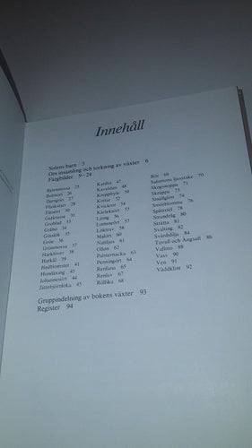 Vilda torkade växter - Sommarglädje året om