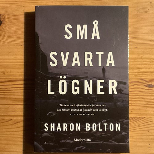 Små svarta lögner av Sharon Bolton 2015, storpocket
