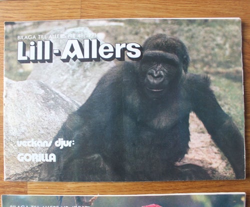 Lill-Allers bilagan veckotidning 1971 nr 48