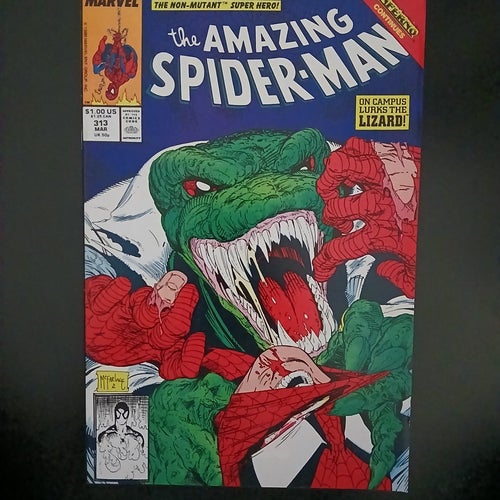 Amazing Spider-Man (1963 1st Series) #313