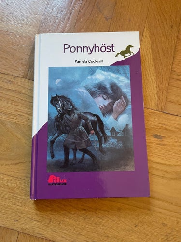 Ponnyhöst av Pamela Cockerill, Pollux, häst