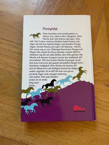 Ponnyhöst av Pamela Cockerill, Pollux, häst