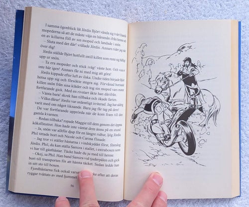 Stjärnryttarna (ungdomsbok, hästar)
