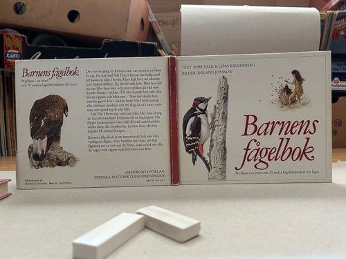 Barnens fågelbok av Bisse Falk & Lena Kallenberg, bok, Very Fine