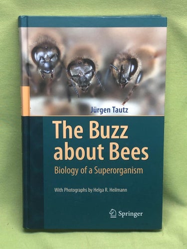 The buzz about bees biology of a superorganism / Tautz, Jürgen