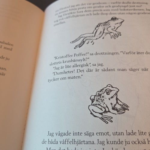 BOK : Prins Kristoffer Poffer av Gaarder, Jostein 1995