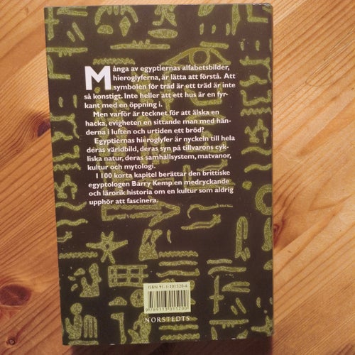 100 Hieroglyfer: Tänk som en egyptier av Barry Kemp