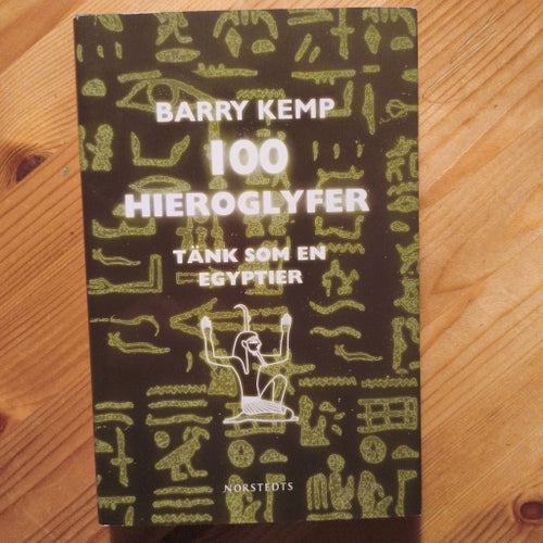 100 Hieroglyfer: Tänk som en egyptier av Barry Kemp