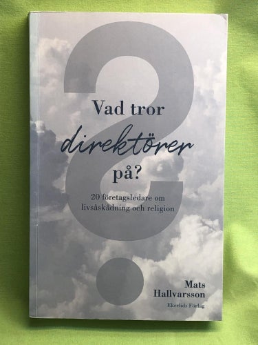 Vad tror direktörer på? 20 företagsledare om livsåskådning och religion / Hall