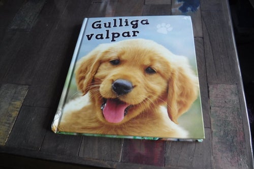 95 sidor Gulliga valpar författare Anna Claybourne