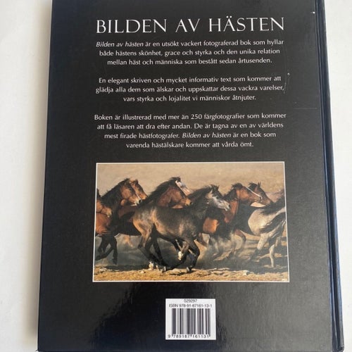 Bilden av Hästen