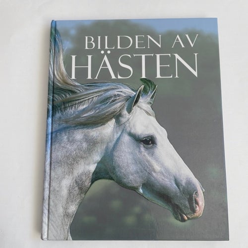 Bilden av Hästen