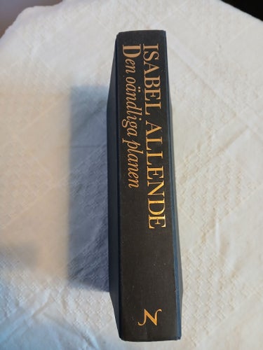Isabel Allende - Den oändliga planen