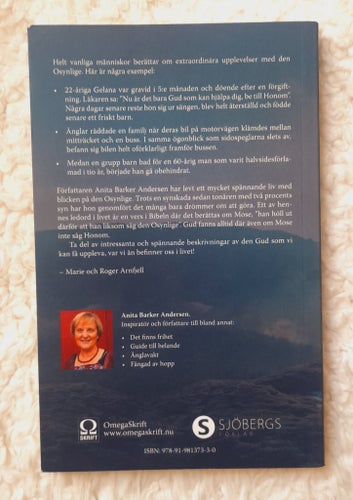 Vem är den OSYNLIGE - Anita Barker Andersen