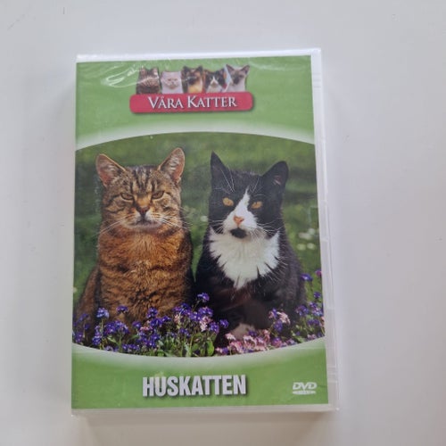 Våra Katter - Huskatter (DVD)