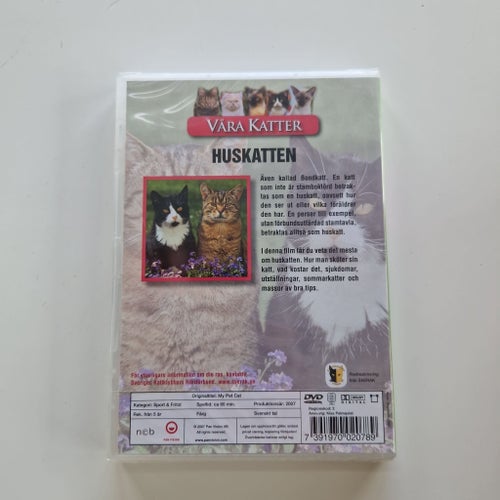 Våra Katter - Huskatter (DVD)