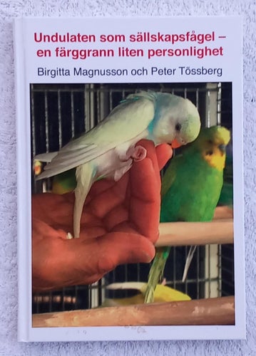Undulaten som sällskapsfågel – en färggrann liten personlighet