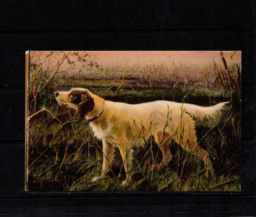 Hund