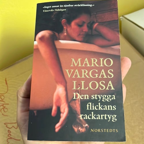 Den stygga flickans rackartyg av Mario Vargas Llosa