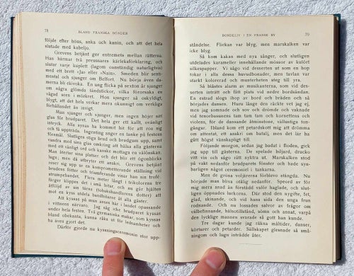 August Strindberg: Bland franska bönder – subjektiva reseskildringar (1914)