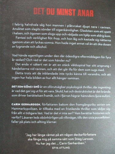 Carin Gerhardsson - Det som göms i snö
