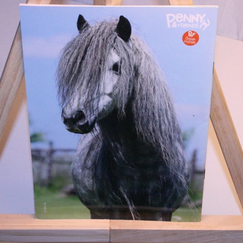 Penny & Friends - 2021 - med poster.