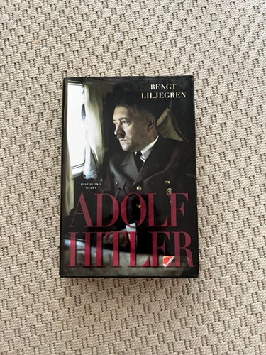 Adolf Hitler av Bengt Liljegren, 2008