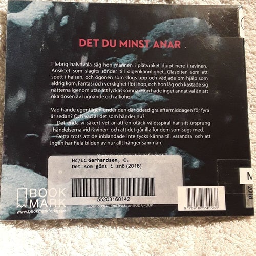 Det som göms i snö - Carin Gerhardsen