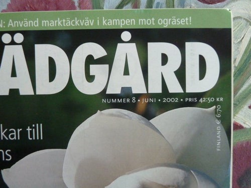TRÄDGÅRD, NR 8, 2002,